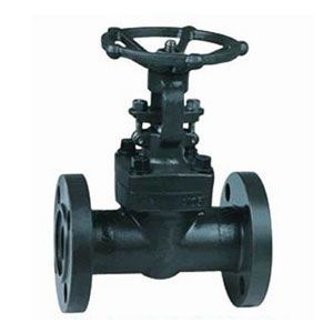 �䓷��m�˽�ֹ�y