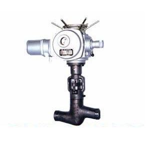 늄��մɽ�ֹ�y